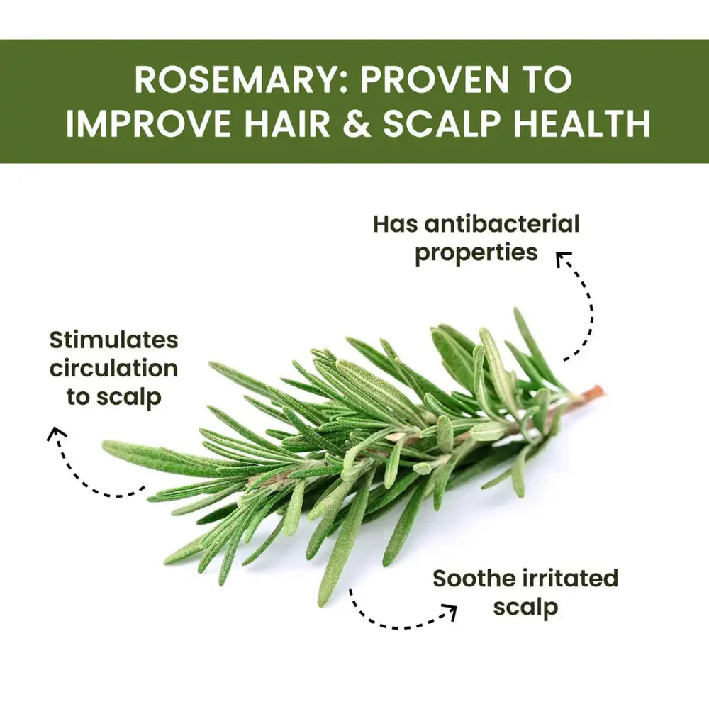 Rosemary Water Spray | For Hair Regrowth