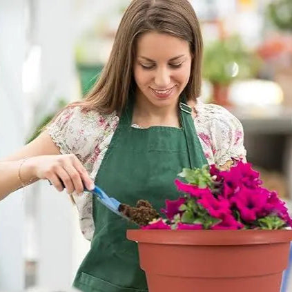 Plant Container Pack Of 2