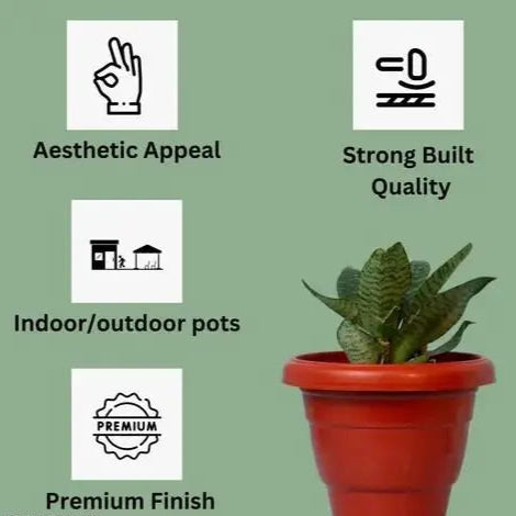 Plant Container Pack Of 2